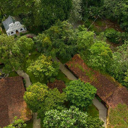 Villa Lapas Jungle Village Tárcoles Εξωτερικό φωτογραφία