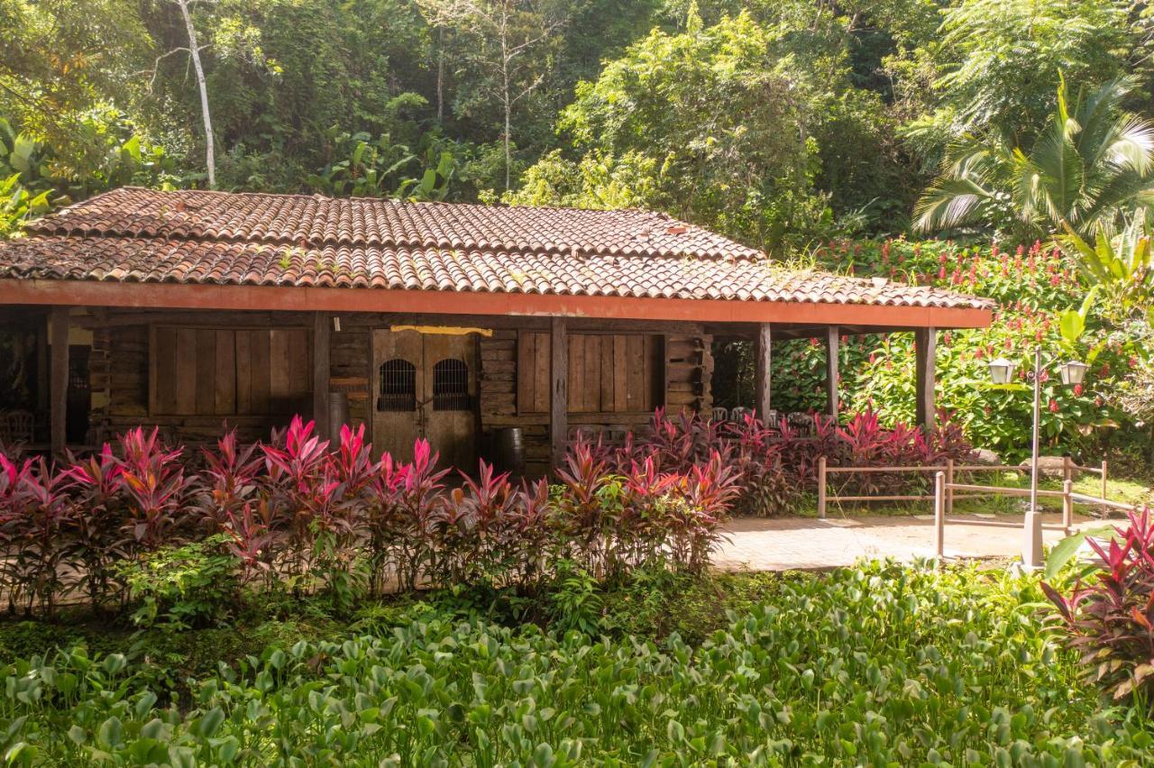 Villa Lapas Jungle Village Tárcoles Εξωτερικό φωτογραφία