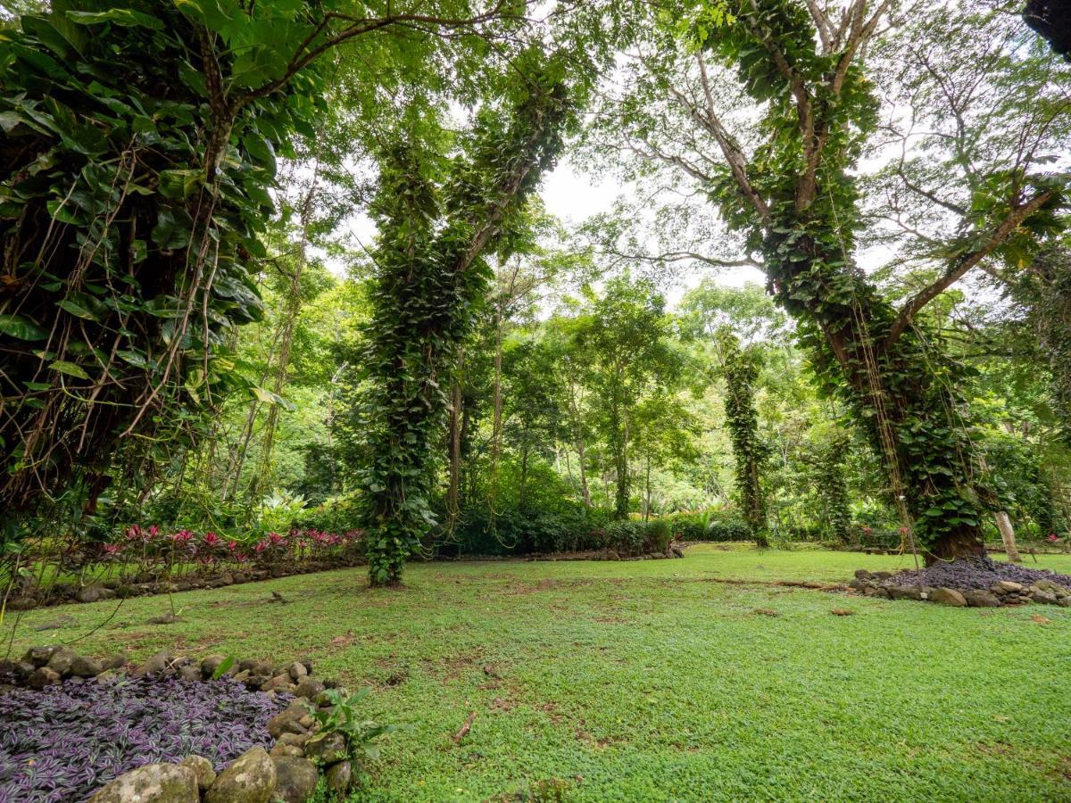 Villa Lapas Jungle Village Tárcoles Εξωτερικό φωτογραφία