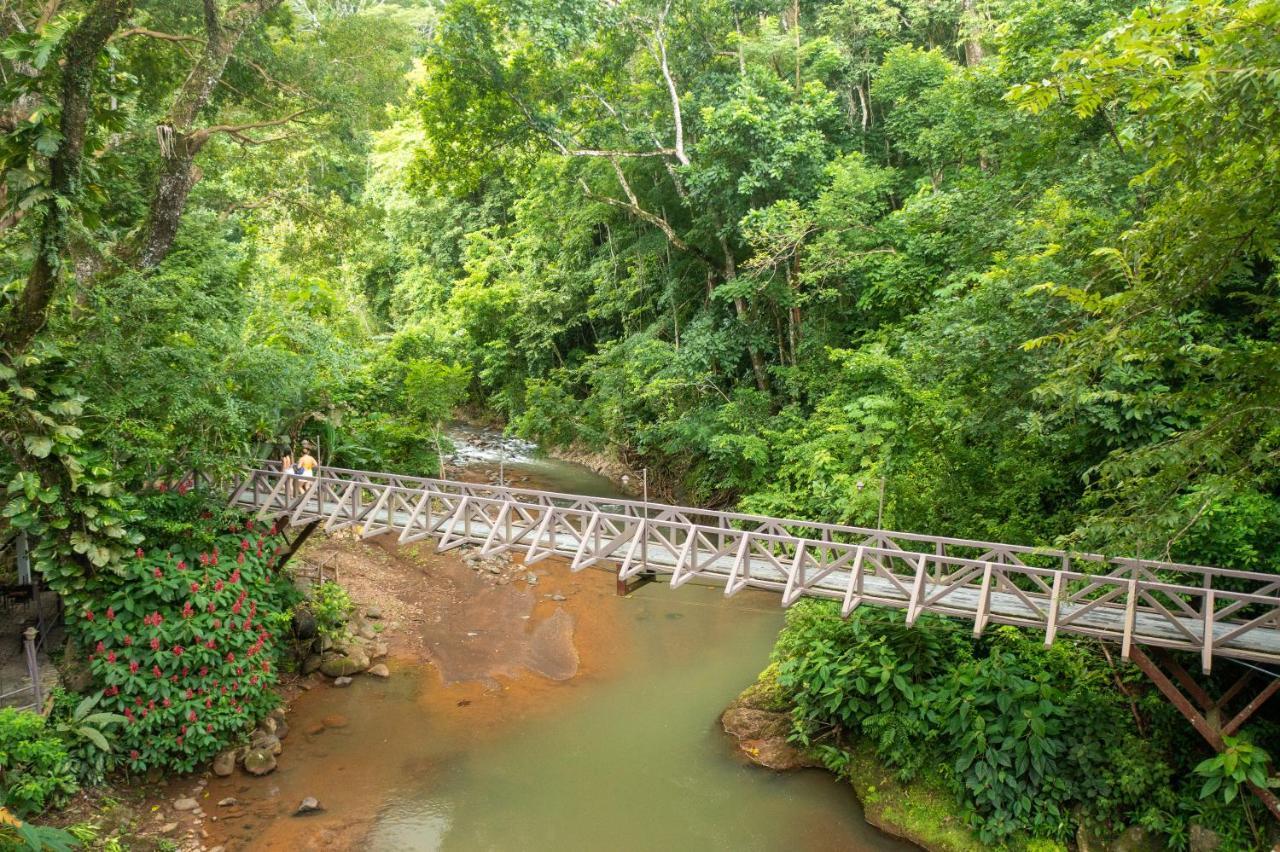 Villa Lapas Jungle Village Tárcoles Εξωτερικό φωτογραφία