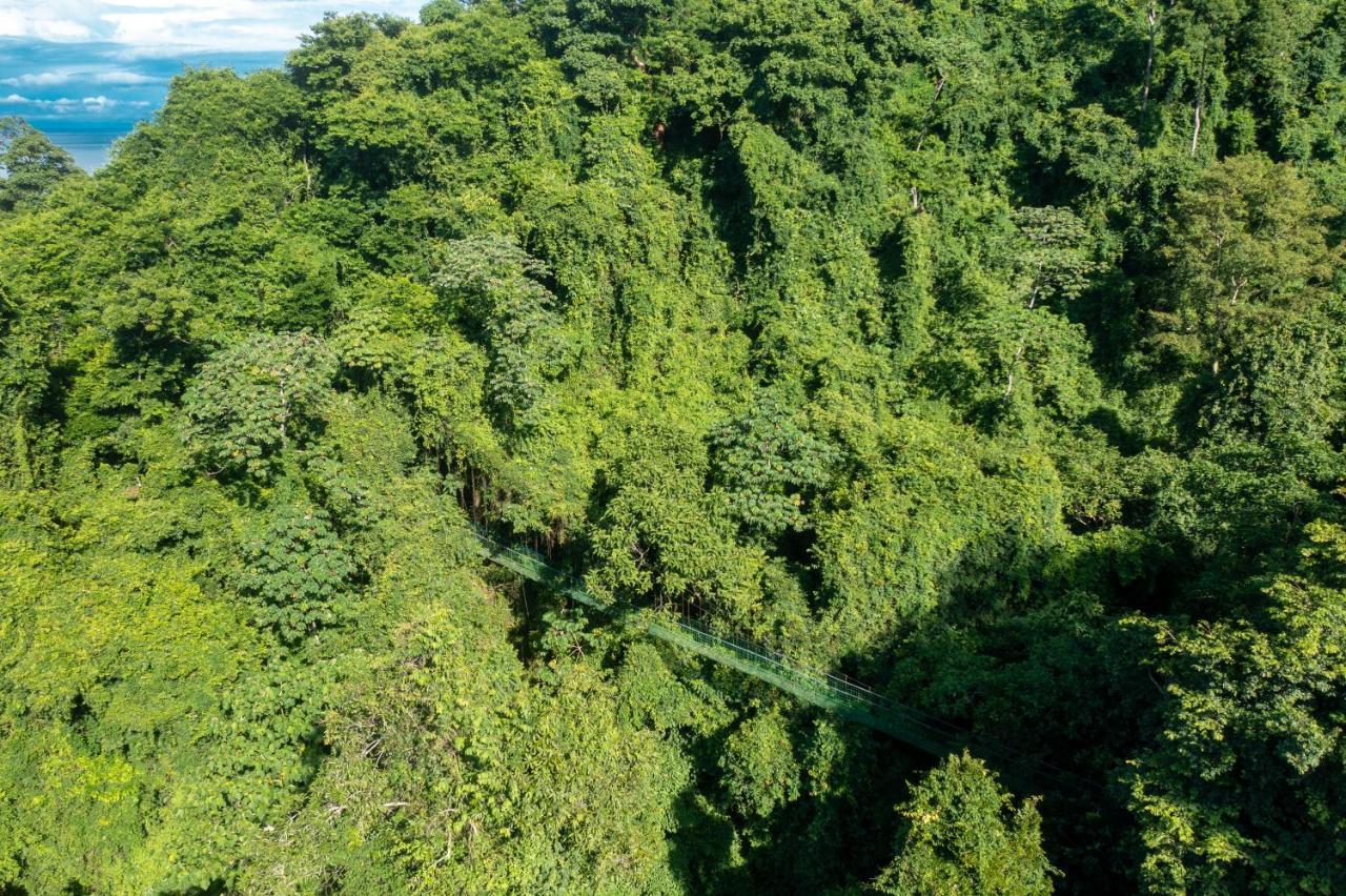 Villa Lapas Jungle Village Tárcoles Εξωτερικό φωτογραφία