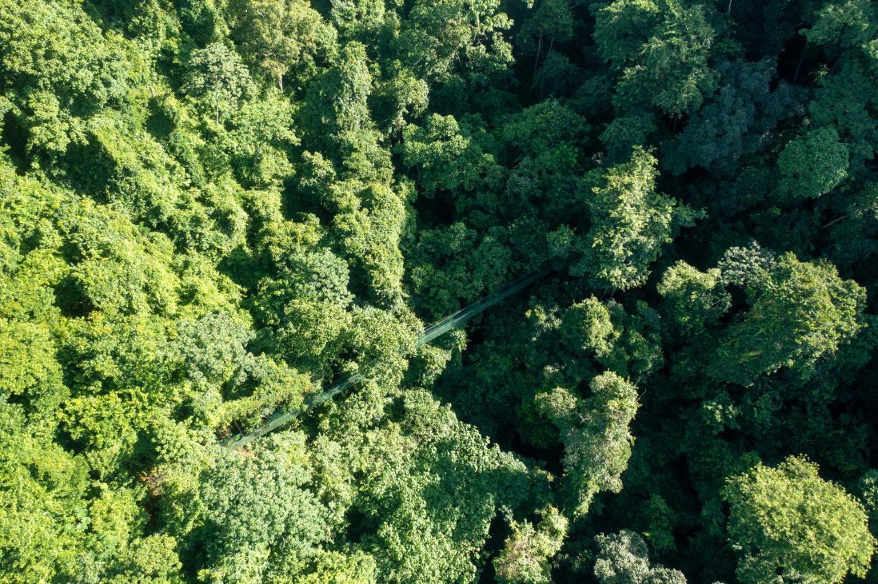 Villa Lapas Jungle Village Tárcoles Εξωτερικό φωτογραφία