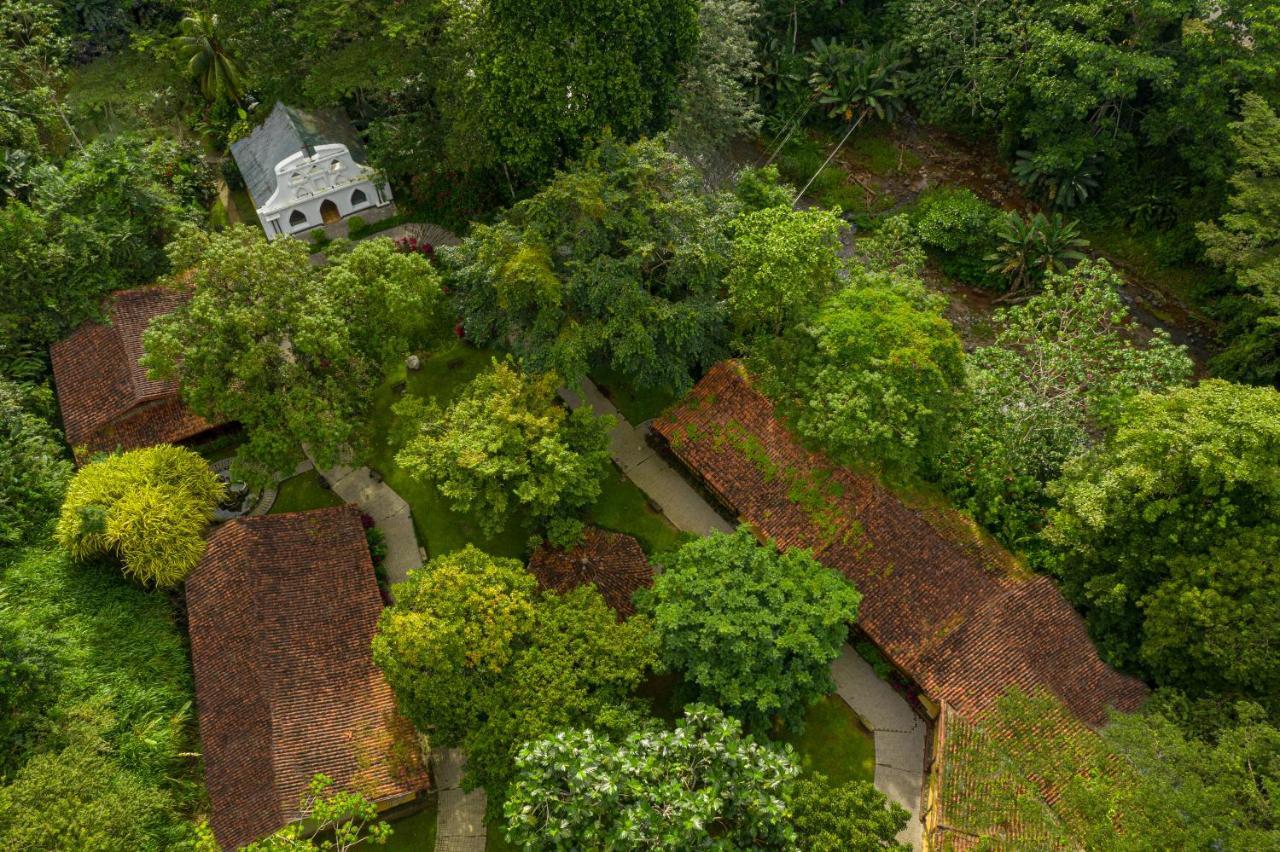 Villa Lapas Jungle Village Tárcoles Εξωτερικό φωτογραφία