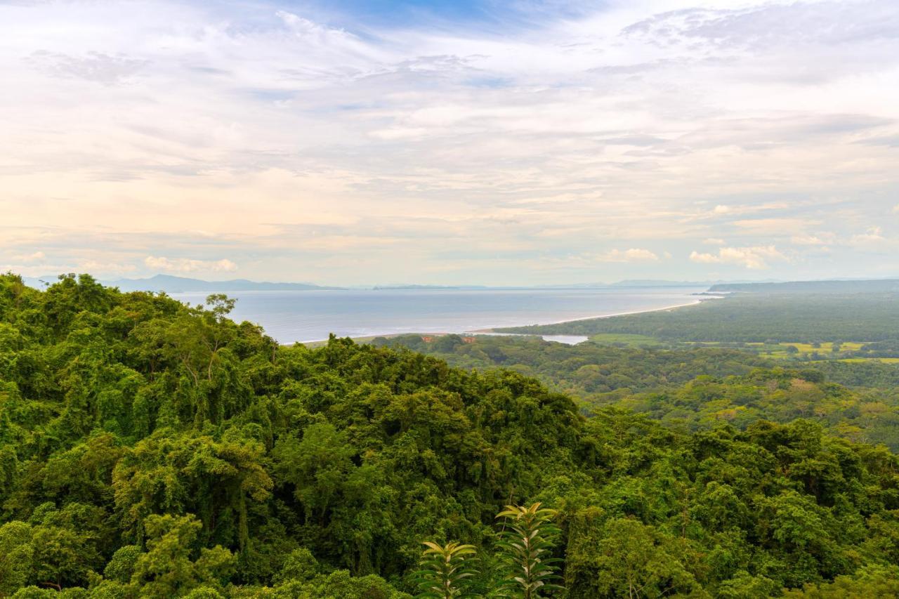 Villa Lapas Jungle Village Tárcoles Εξωτερικό φωτογραφία