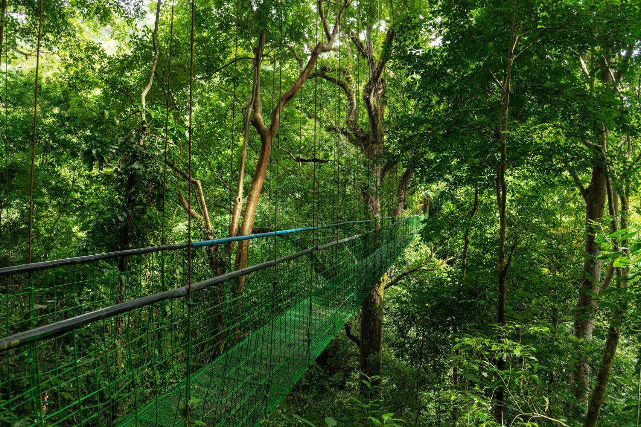 Villa Lapas Jungle Village Tárcoles Εξωτερικό φωτογραφία